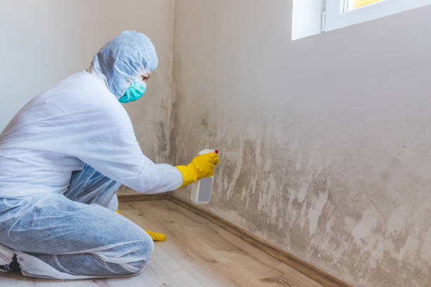 Hvac And Air Duct Mold Remediation inspection of HVAC system in Oak Park