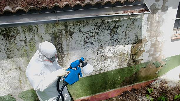 Mold Remediation service in Oak Park, Oak Park, MI